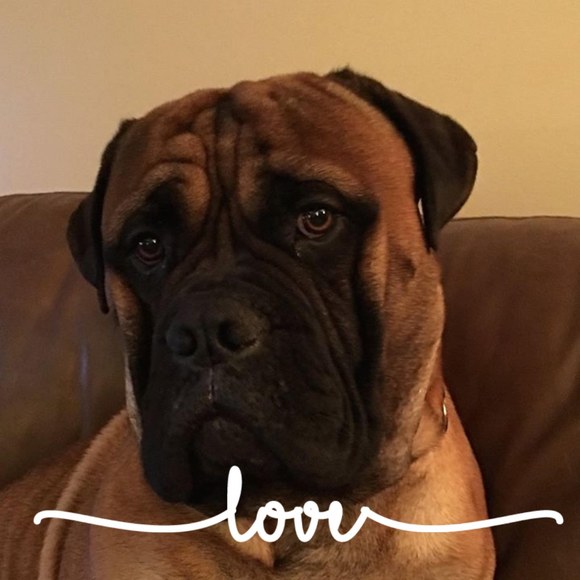 Meet your Posher, Terri - Picture 1 of 1